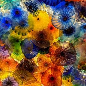 Meet your Posher, Kathleen